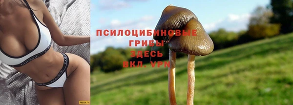 jwh Алзамай