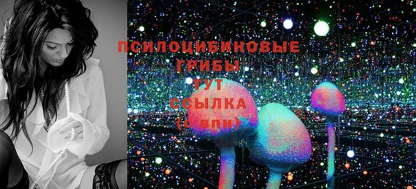 мяу мяу мука Алексеевка