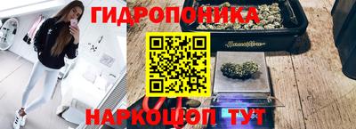 крисы Малоярославец