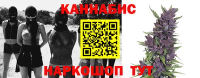 стафф Абакан