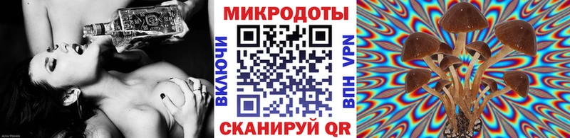 закладка  маркетплейс состав  Галлюциногенные грибы Psilocybine cubensis  Октябрьский 