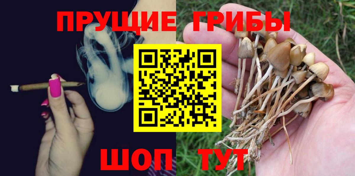 Псилоцибиновые грибы мухоморы Октябрьский