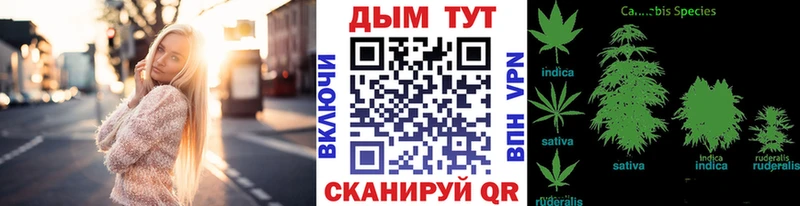 Конопля планчик  как найти закладки  Октябрьский 